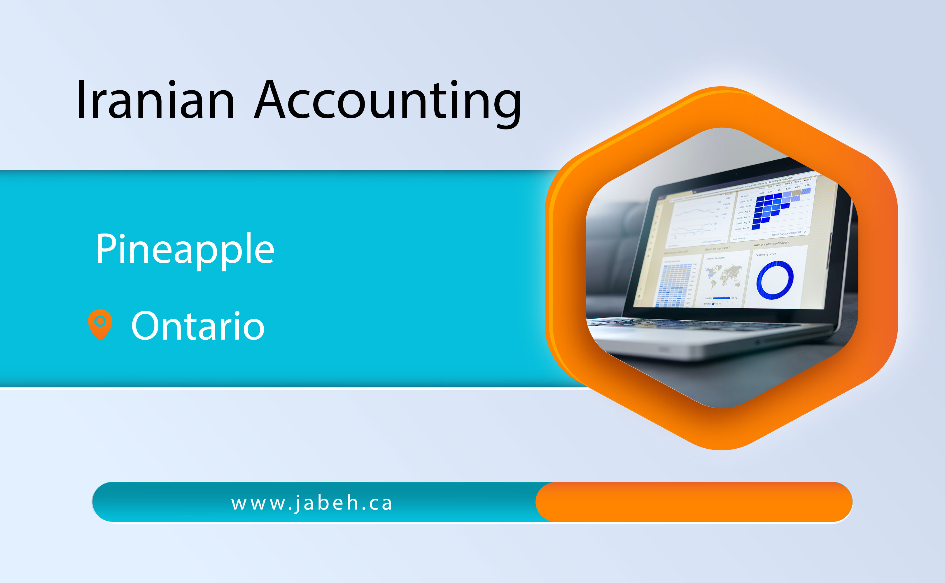 Iranian Ananas Accounting Company in Ontario
