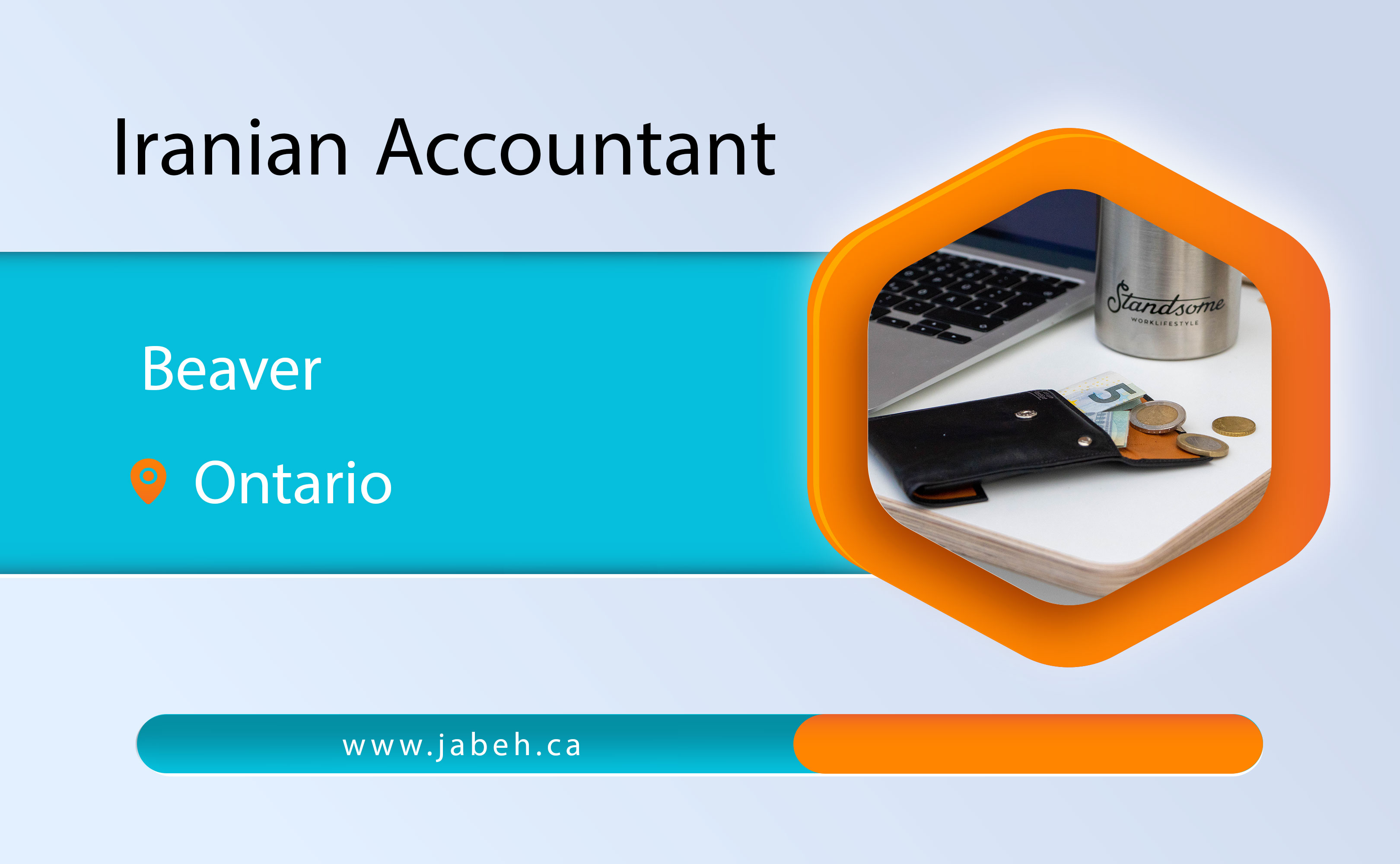 Beaver Iranian accounting in Ontario